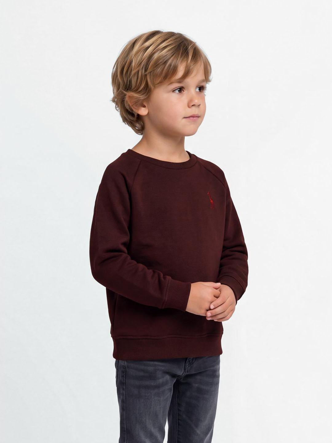 Blue Giraffe Boys Dark Maroon Solid Regular Fit Sweatshirt