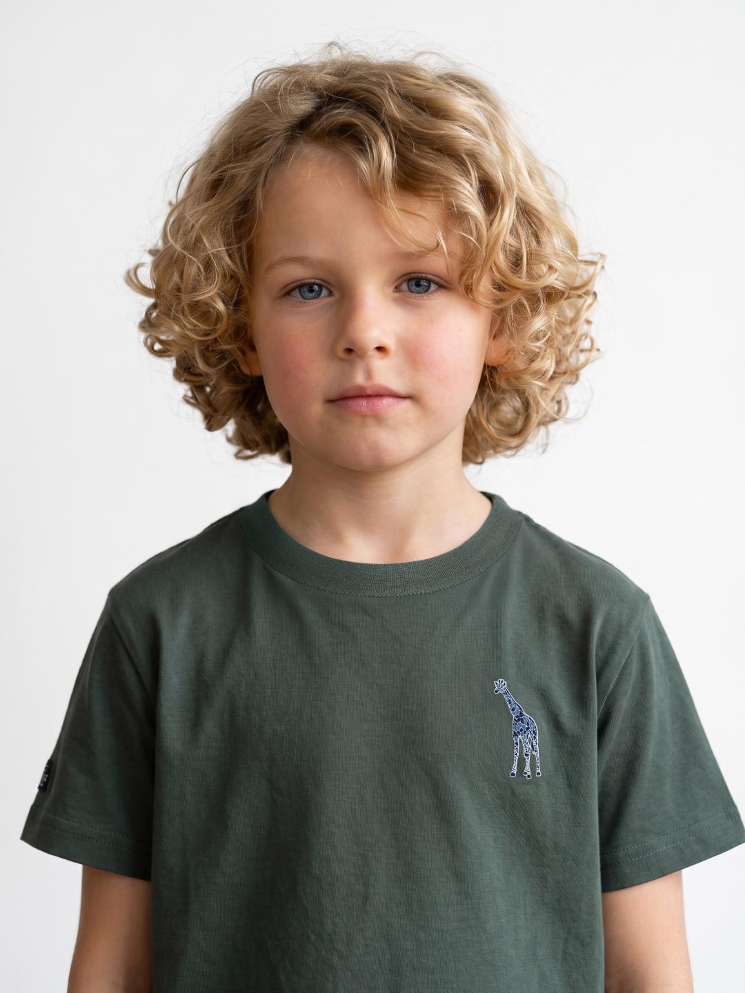 Blue Giraffe Boys Green Regular Fit Solid Tshirt