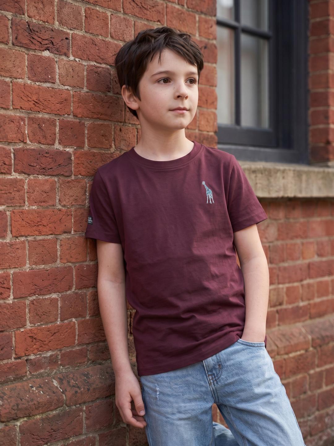 Blue Giraffe Boys Burgundy Regular Fit Solid Tshirt