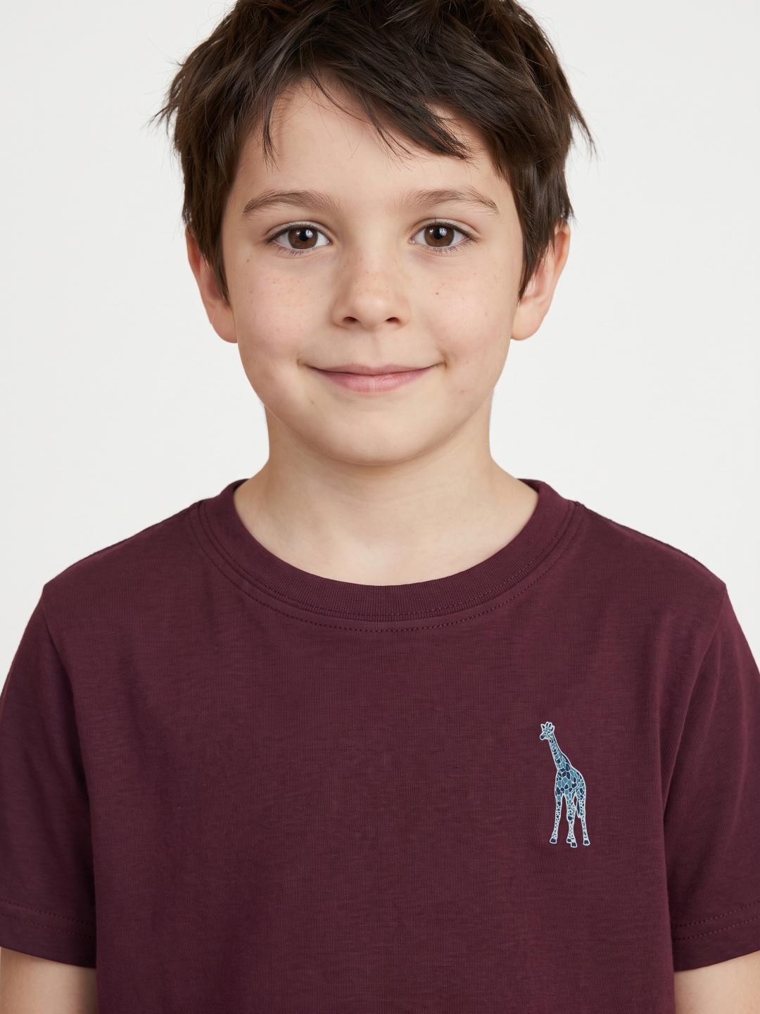 Blue Giraffe Boys Burgundy Regular Fit Solid Tshirt