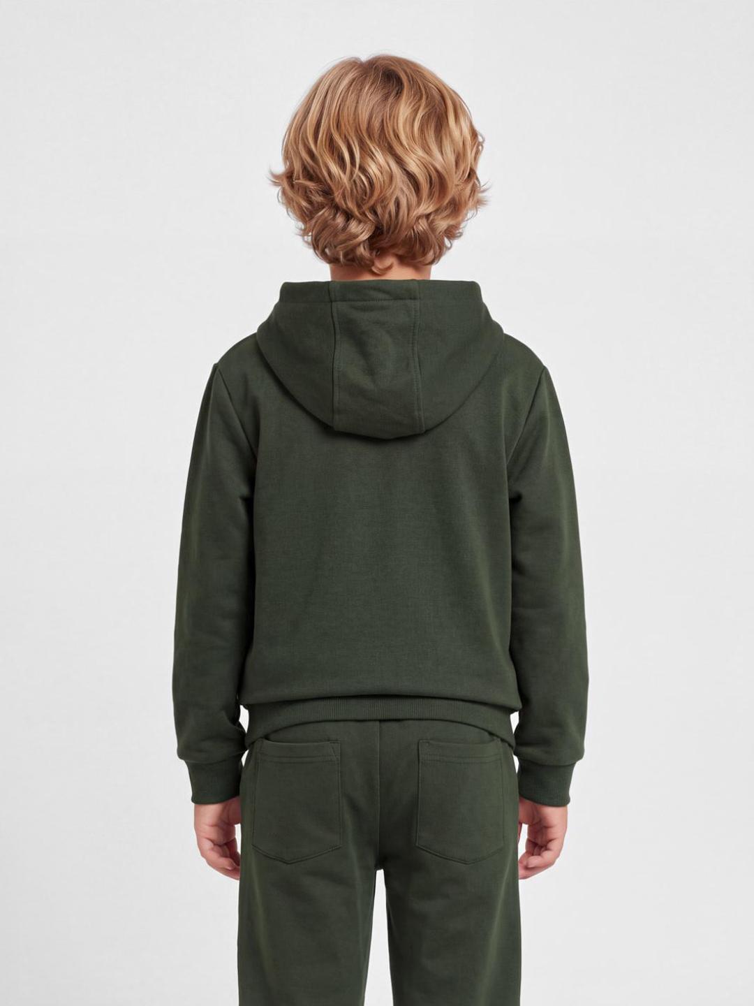 Blue Giraffe Boys Green Solid Regular Fit Stretchable Hoodie