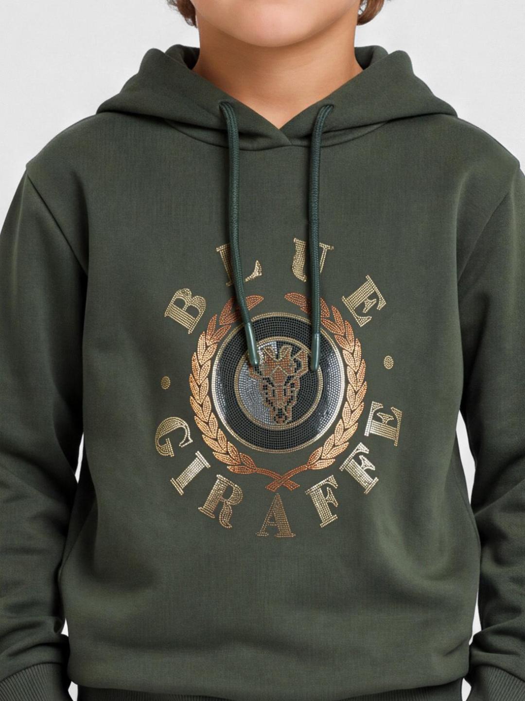 Blue Giraffe Boys Green Solid Regular Fit Stretchable Hoodie