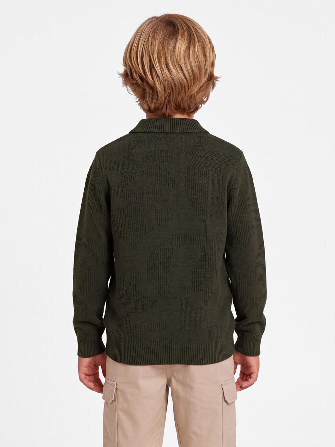 Blue Giraffe Boys Dark Green Solid Regular Fit Sweater