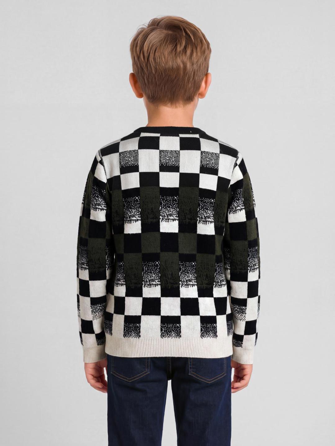 Blue Giraffe Boys Multicolor Check Regular Fit Sweater