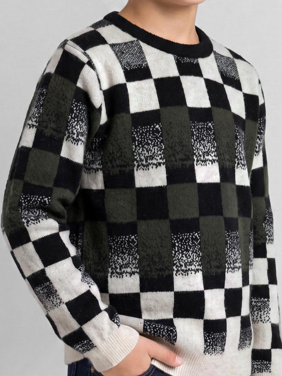 Blue Giraffe Boys Multicolor Check Regular Fit Sweater