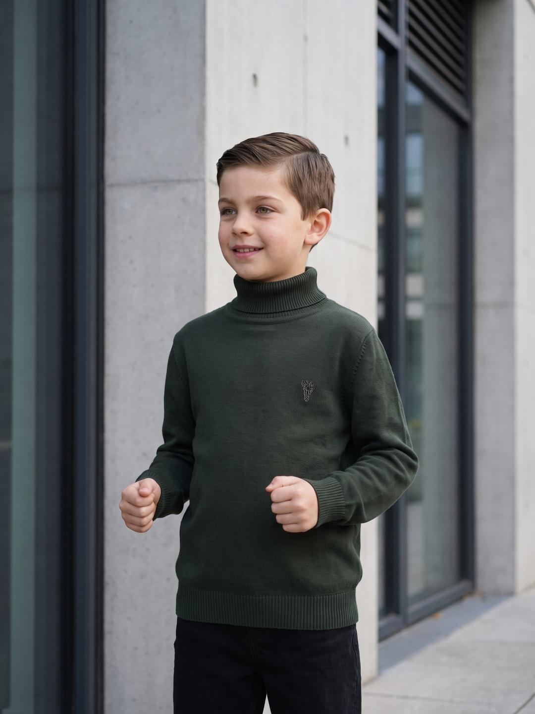 Blue Giraffe Boys Green Regular Fit Solid Sweater