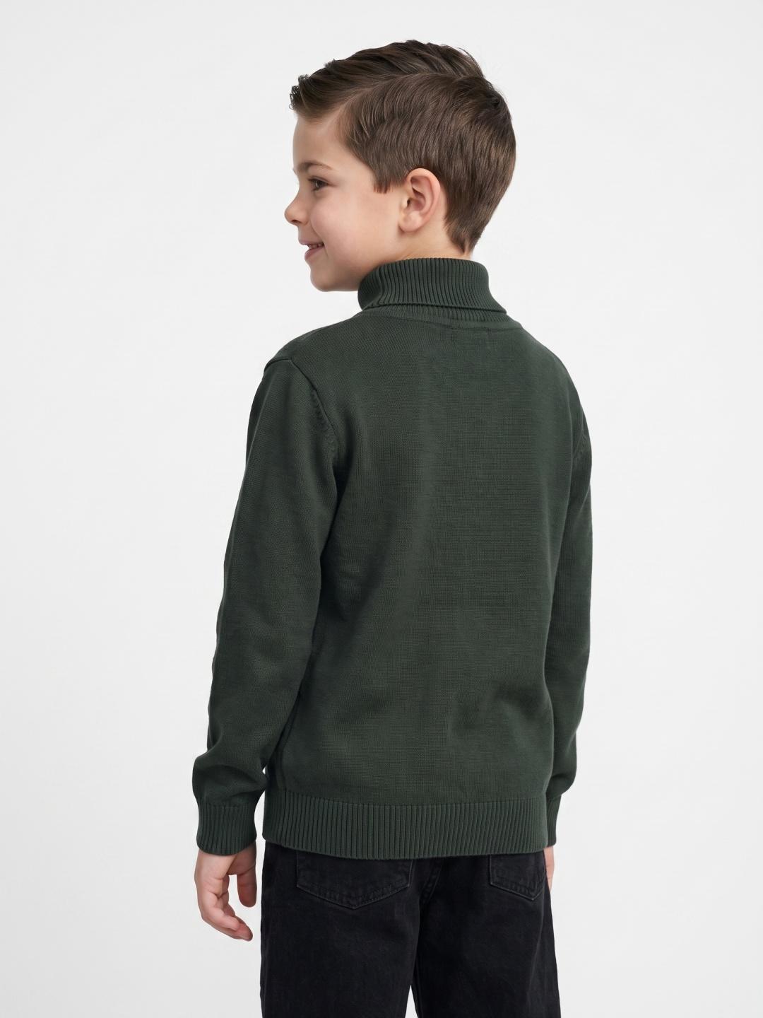 Blue Giraffe Boys Green Regular Fit Solid Sweater