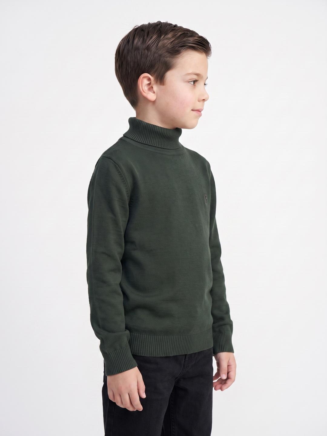 Blue Giraffe Boys Green Regular Fit Solid Sweater