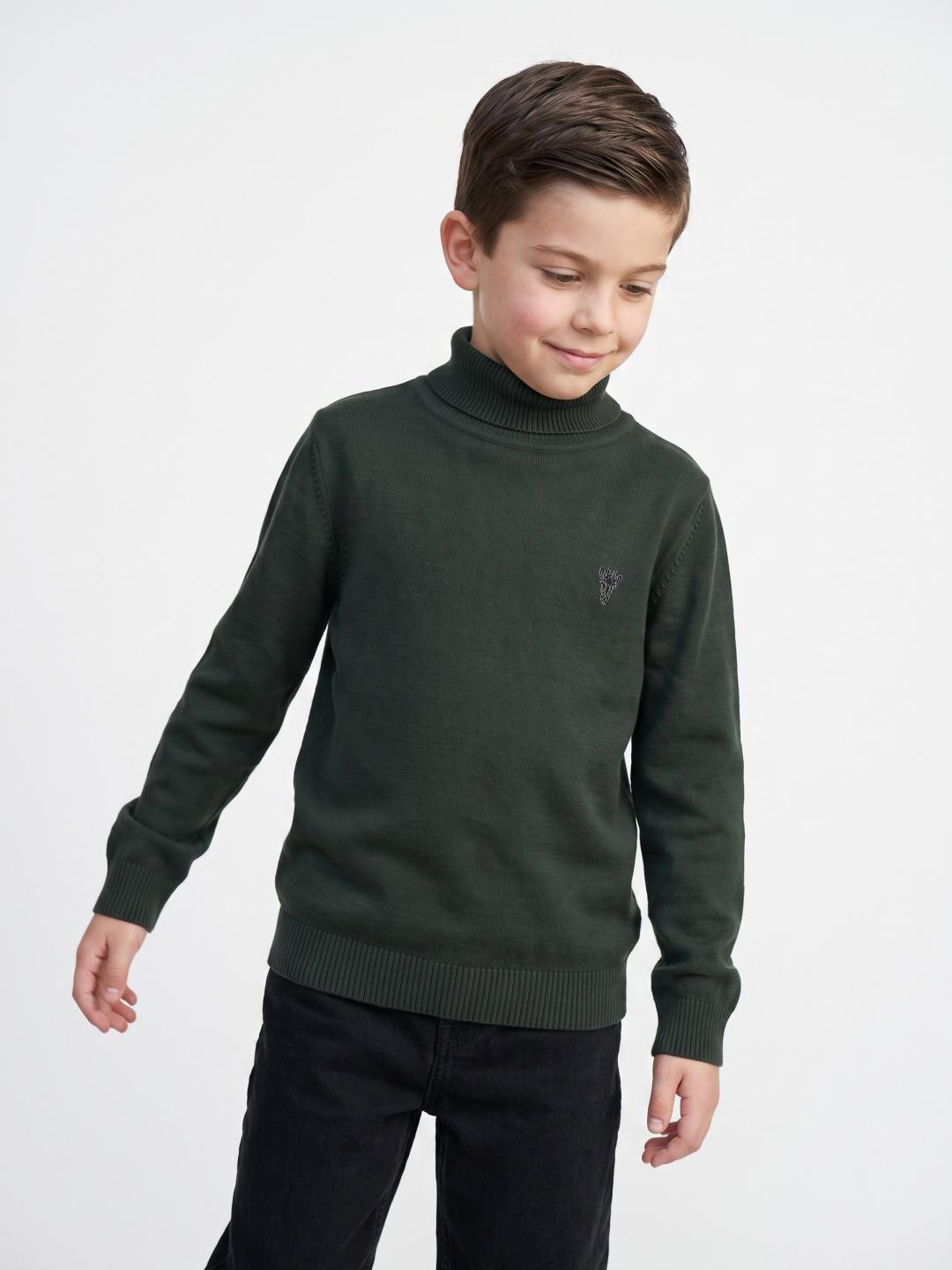 Blue Giraffe Boys Green Regular Fit Solid Sweater