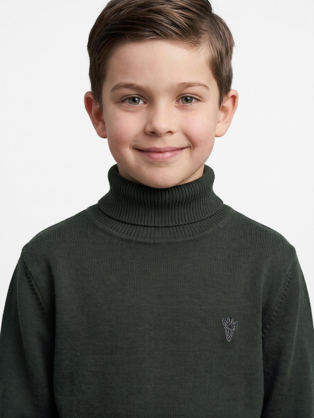 Blue Giraffe Boys Green Regular Fit Solid Sweater