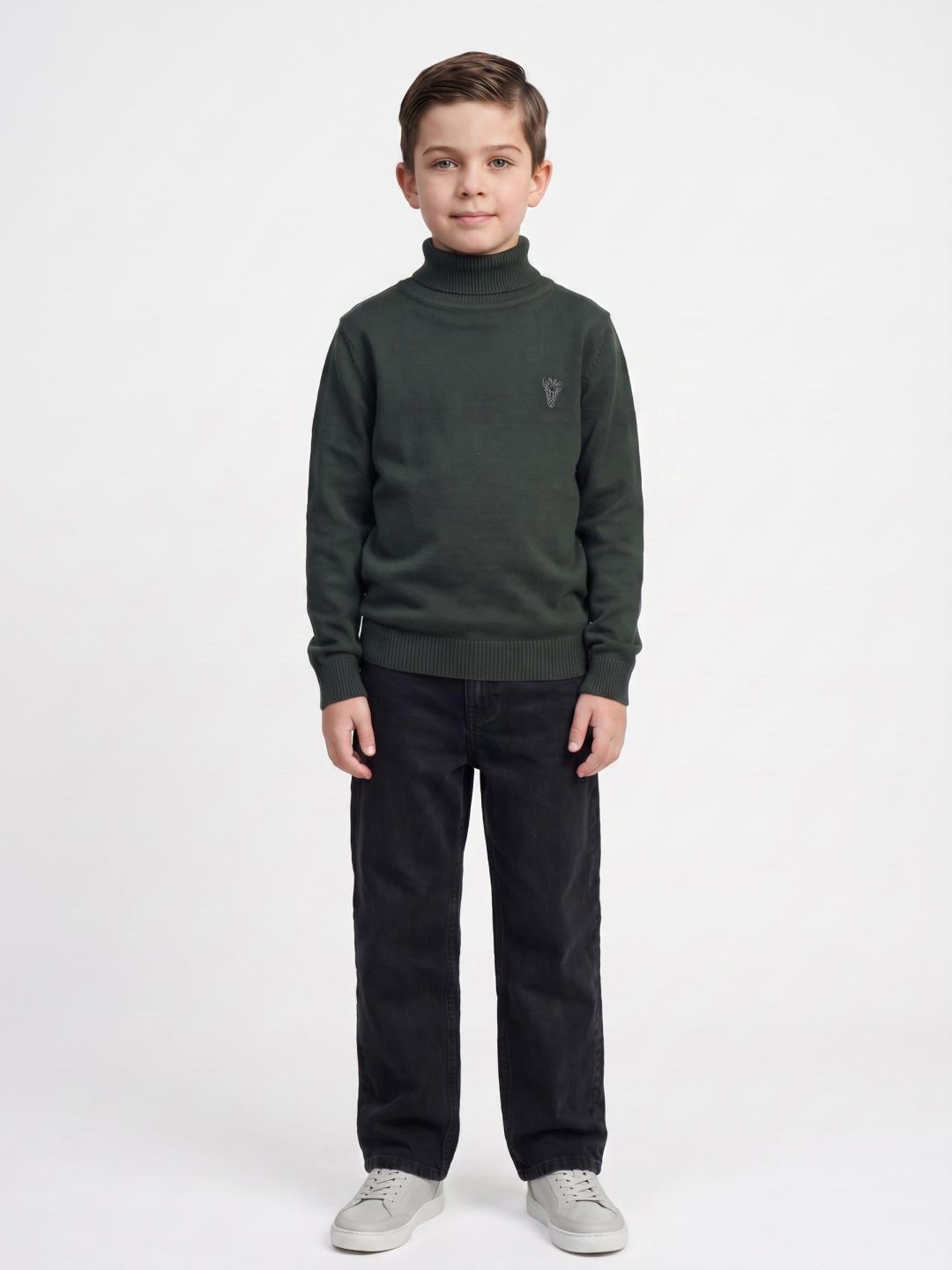 Blue Giraffe Boys Green Regular Fit Solid Sweater