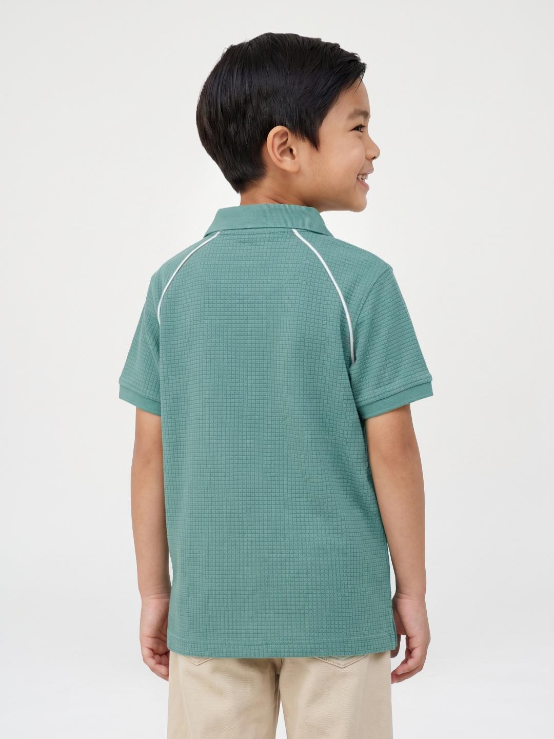 Blue Giraffe Boys Mint Green Solid Regular Fit Cotton Polo T-Shirt