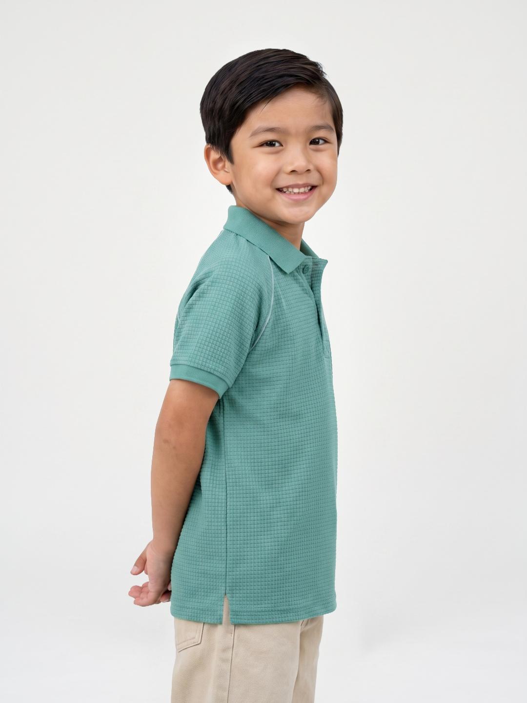 Blue Giraffe Boys Mint Green Solid Regular Fit Cotton Polo T-Shirt
