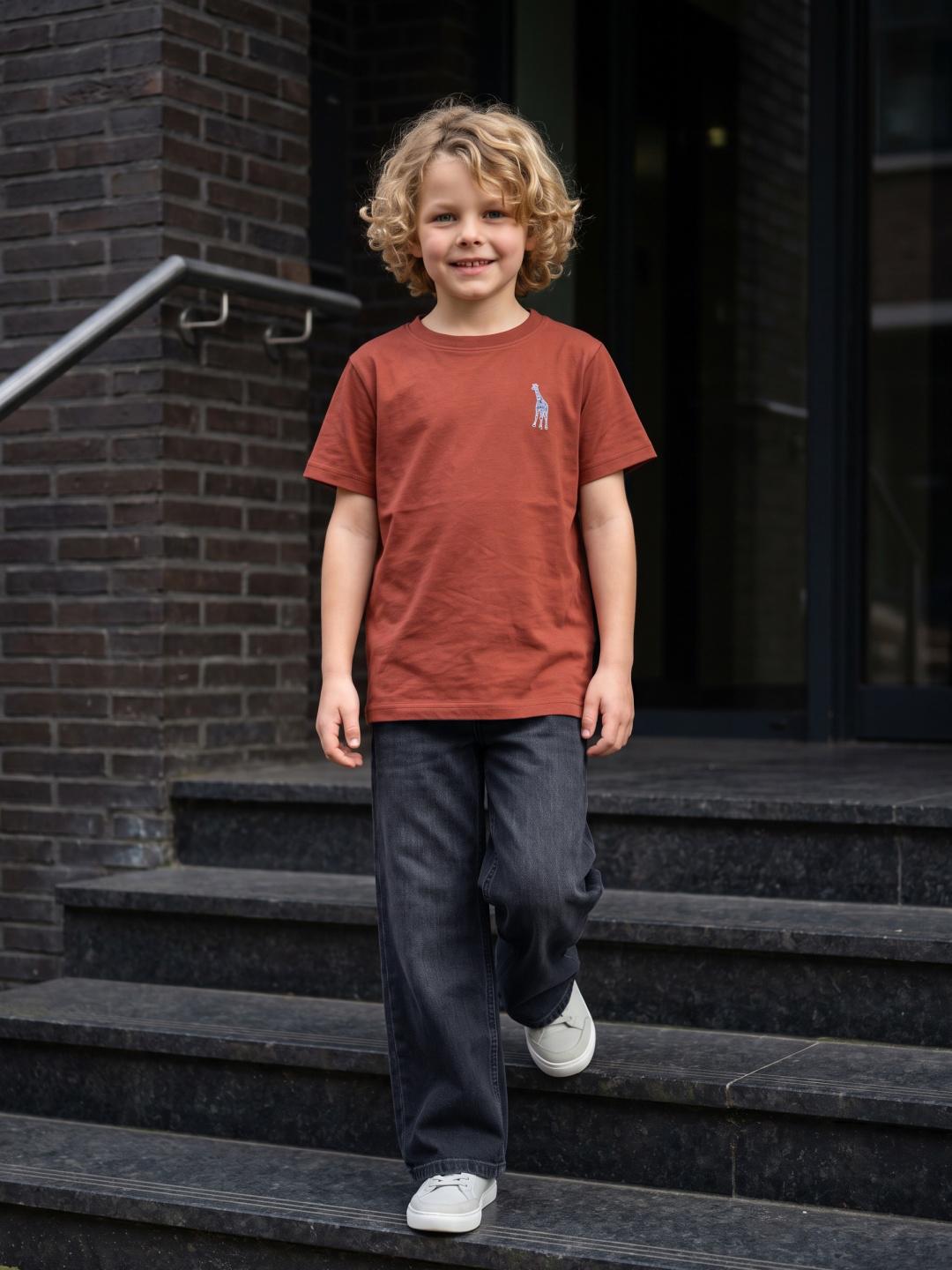 Blue Giraffe Boys Grey Straight Fit Stretchable Solid Jeans