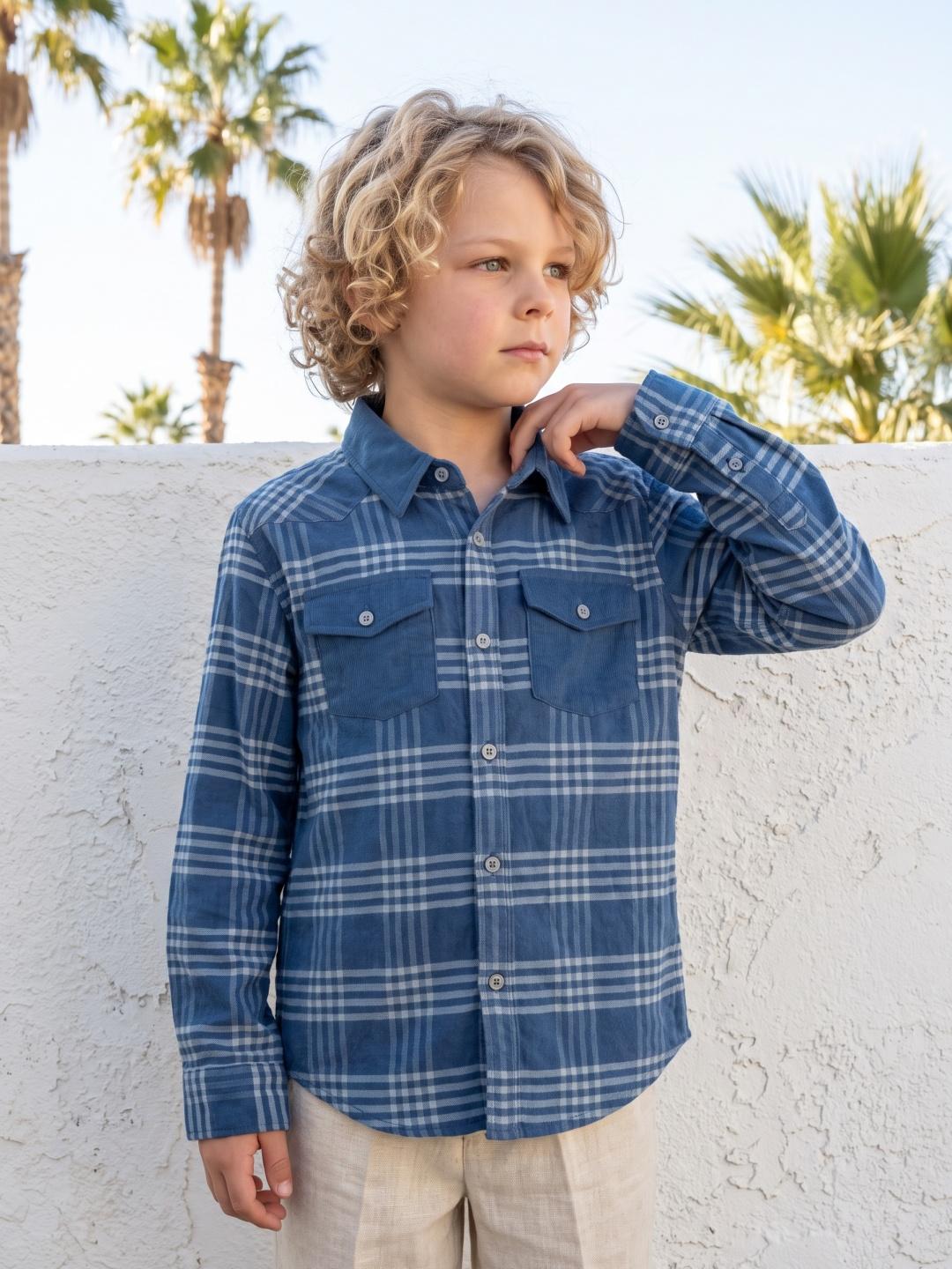Blue Giraffe Boys Regular Fit Blue Checked Pure Cotton Shirt
