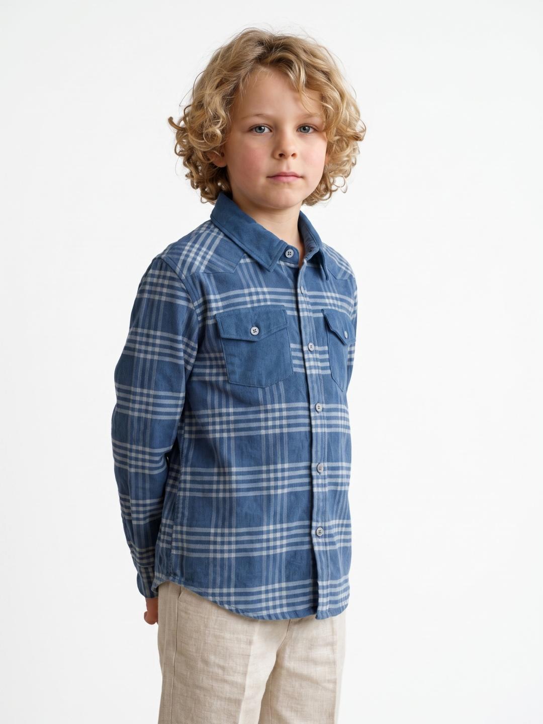 Blue Giraffe Boys Regular Fit Blue Checked Pure Cotton Shirt