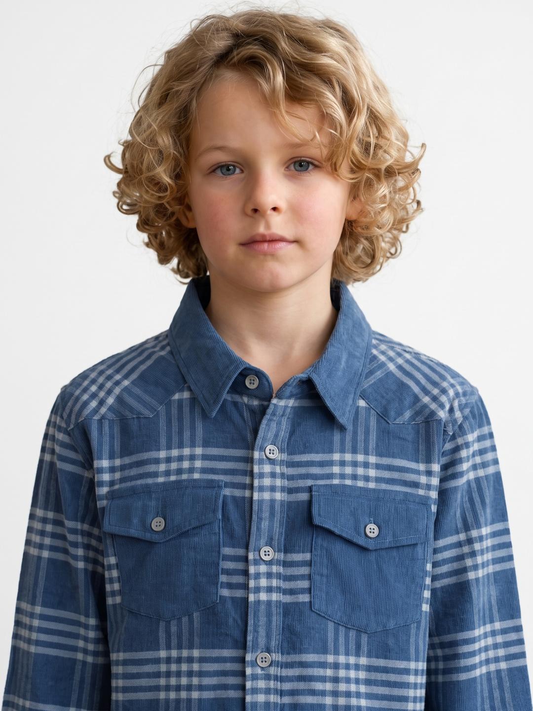 Blue Giraffe Boys Regular Fit Blue Checked Pure Cotton Shirt