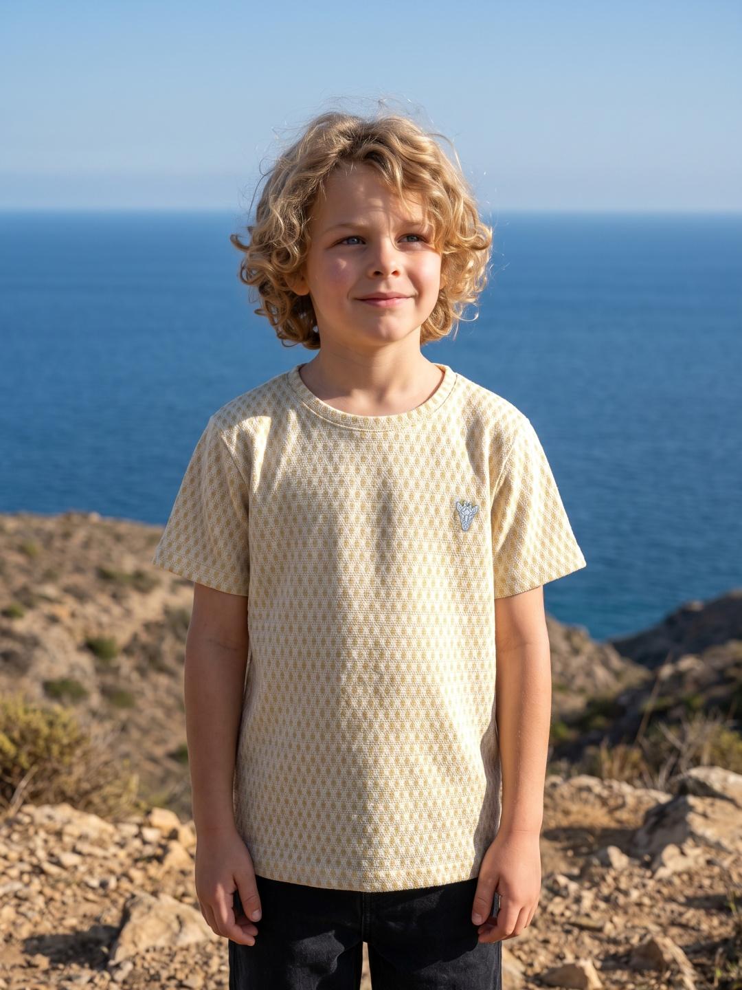 Blue Giraffe Boys Yellow Regular Fit Solid Tshirt