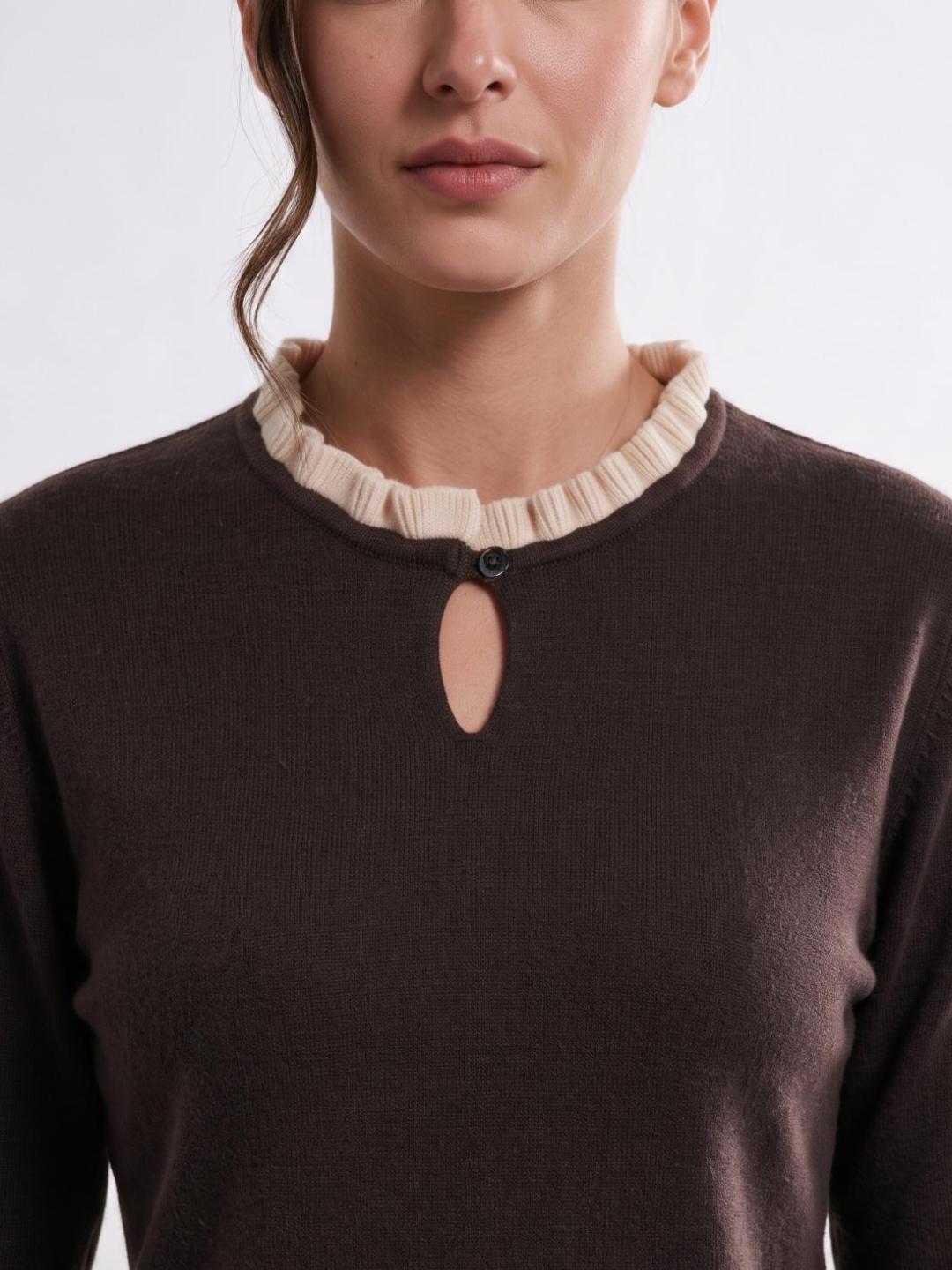 Elle Women Brown Solid Regular Fit Sweater