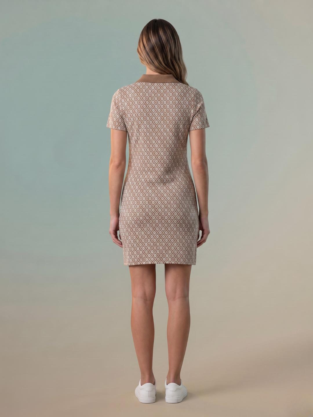 Iconic Women Brown Regular Fit Jaquard Dress