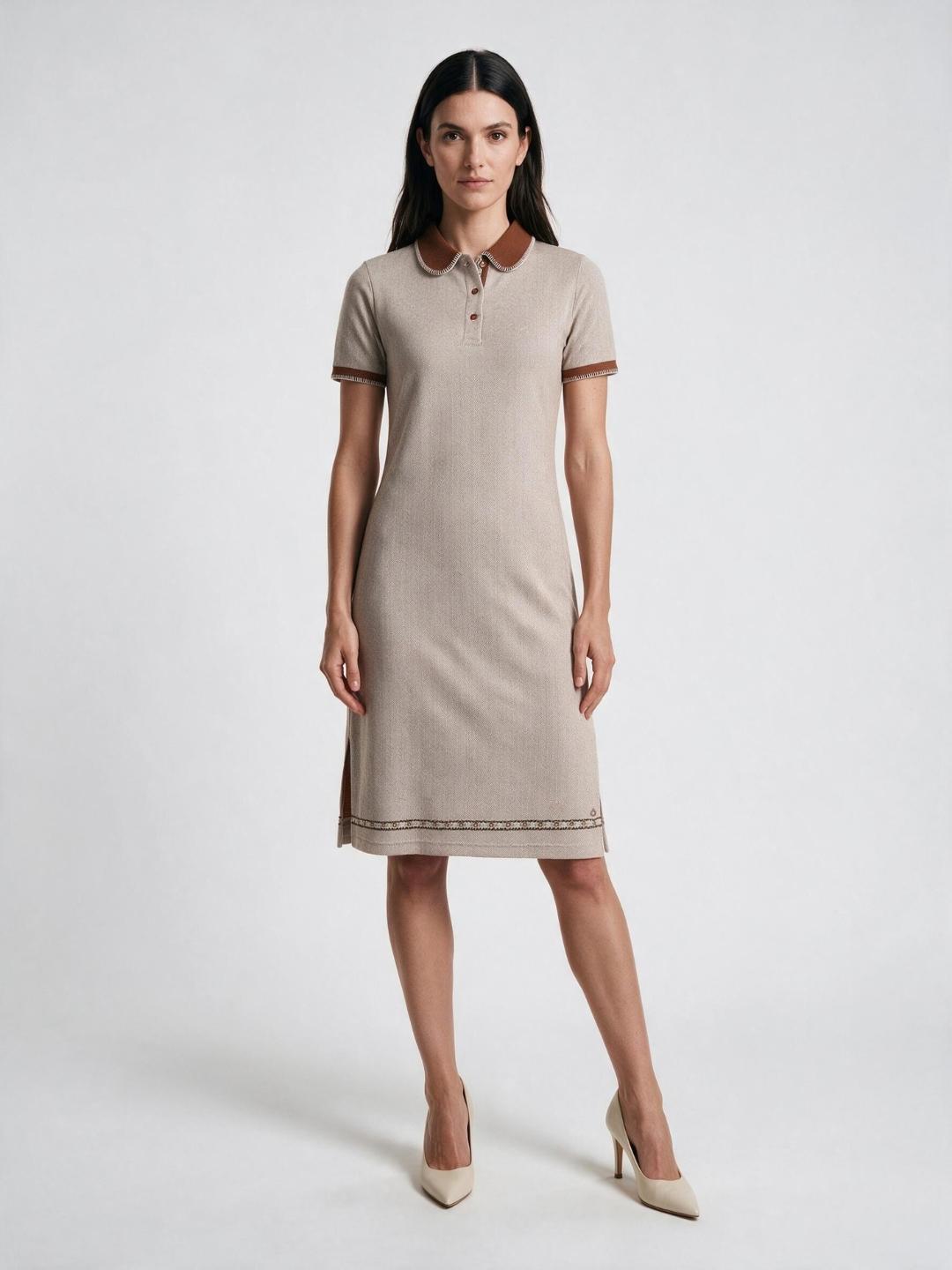 Iconic Women Beige Textured Regular Fit Dress