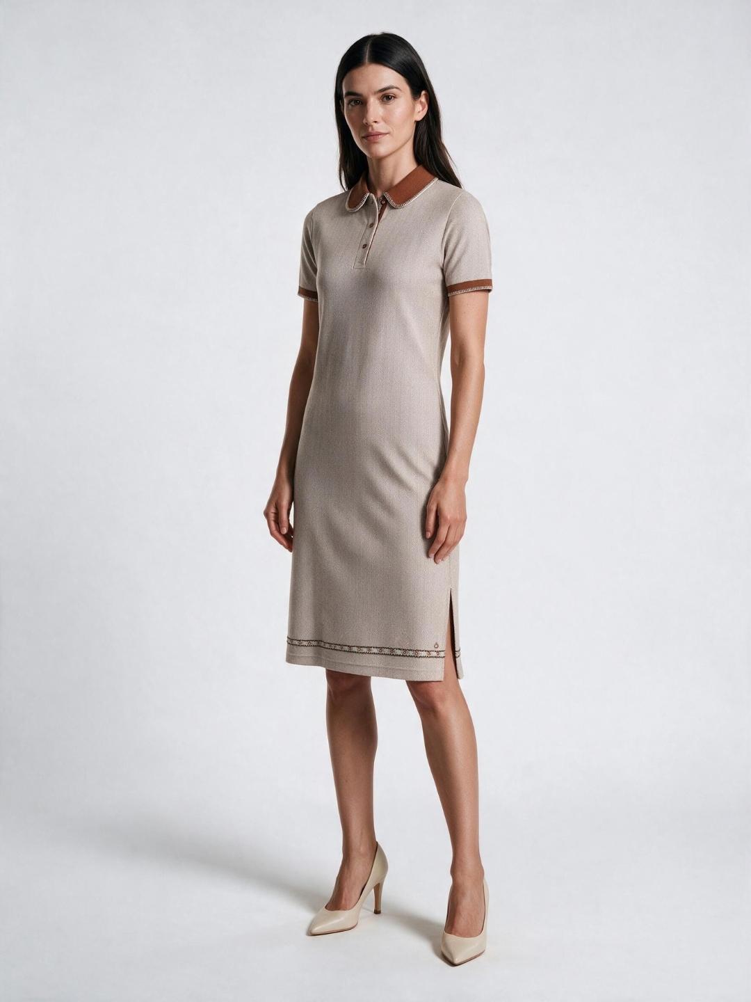 Iconic Women Beige Textured Regular Fit Dress