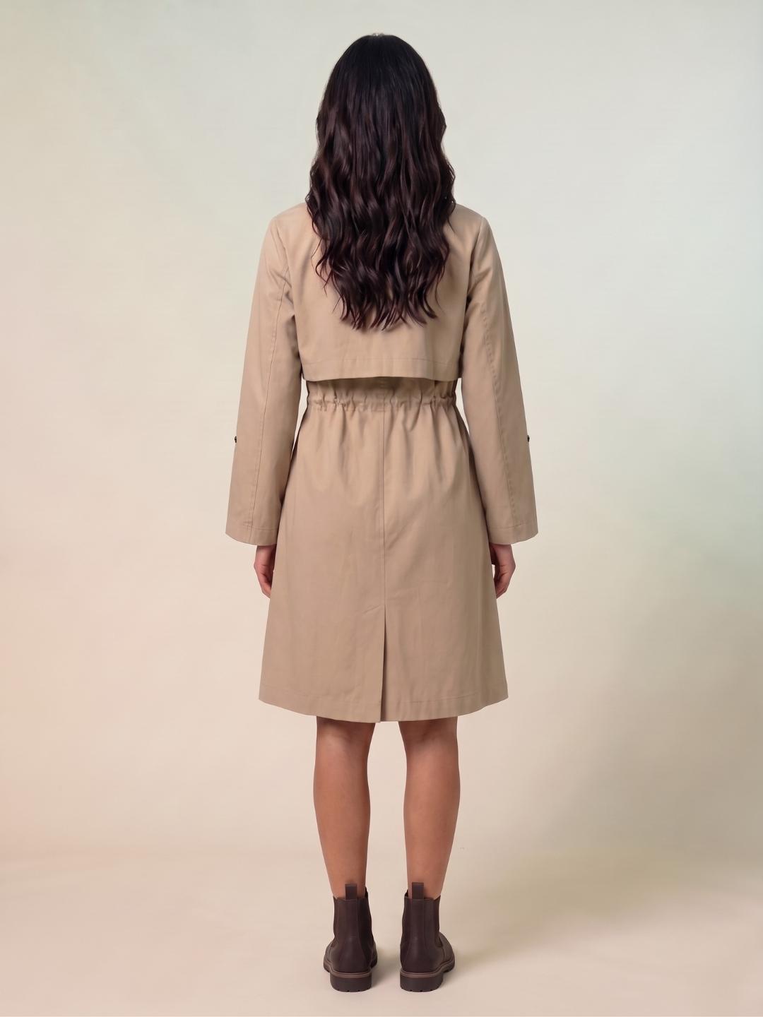 Iconic Women Brown Regular Fit Solid Dress