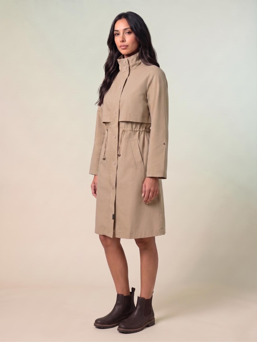 Iconic Women Brown Regular Fit Solid Dress