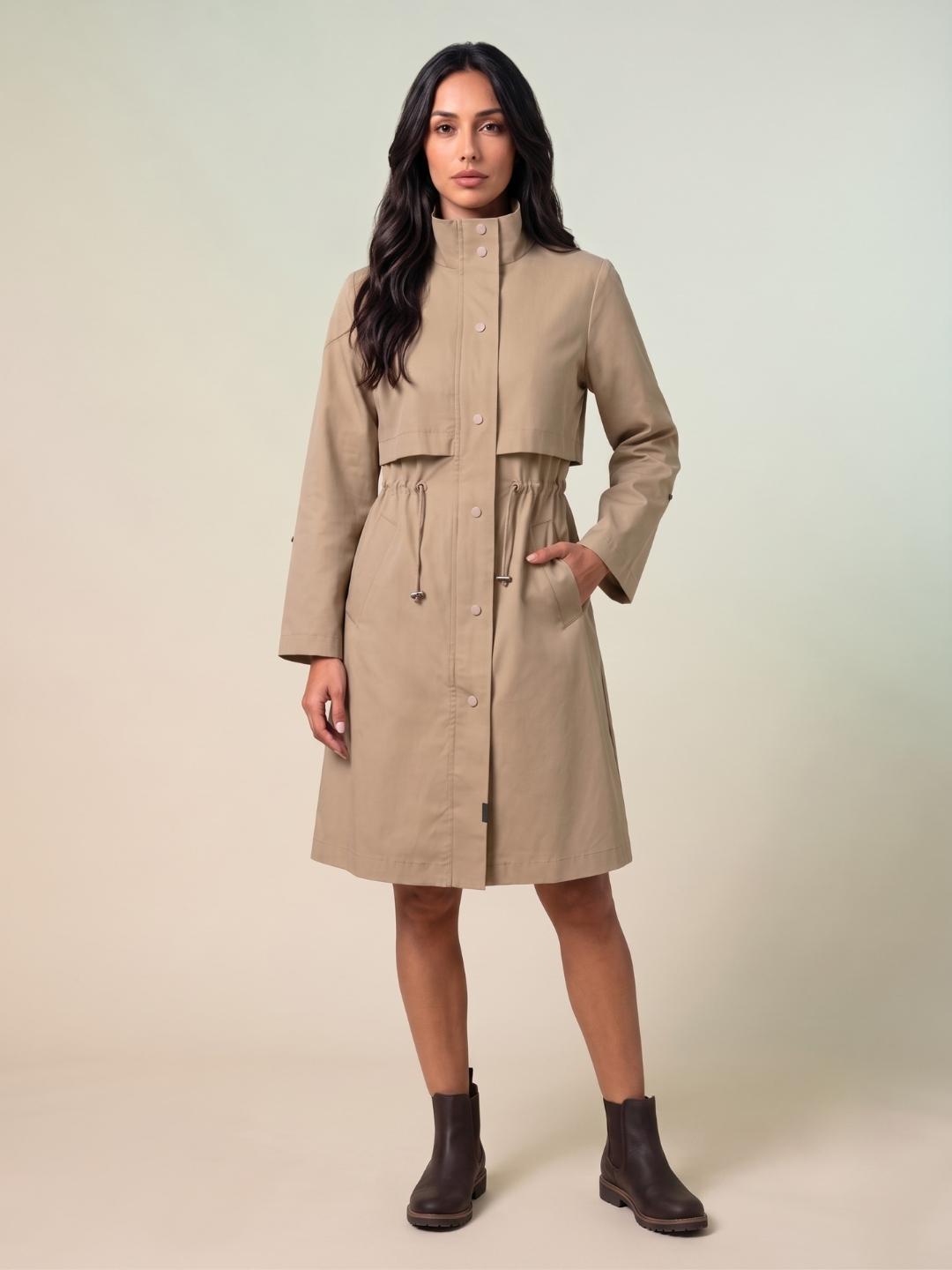 Iconic Women Brown Regular Fit Solid Dress