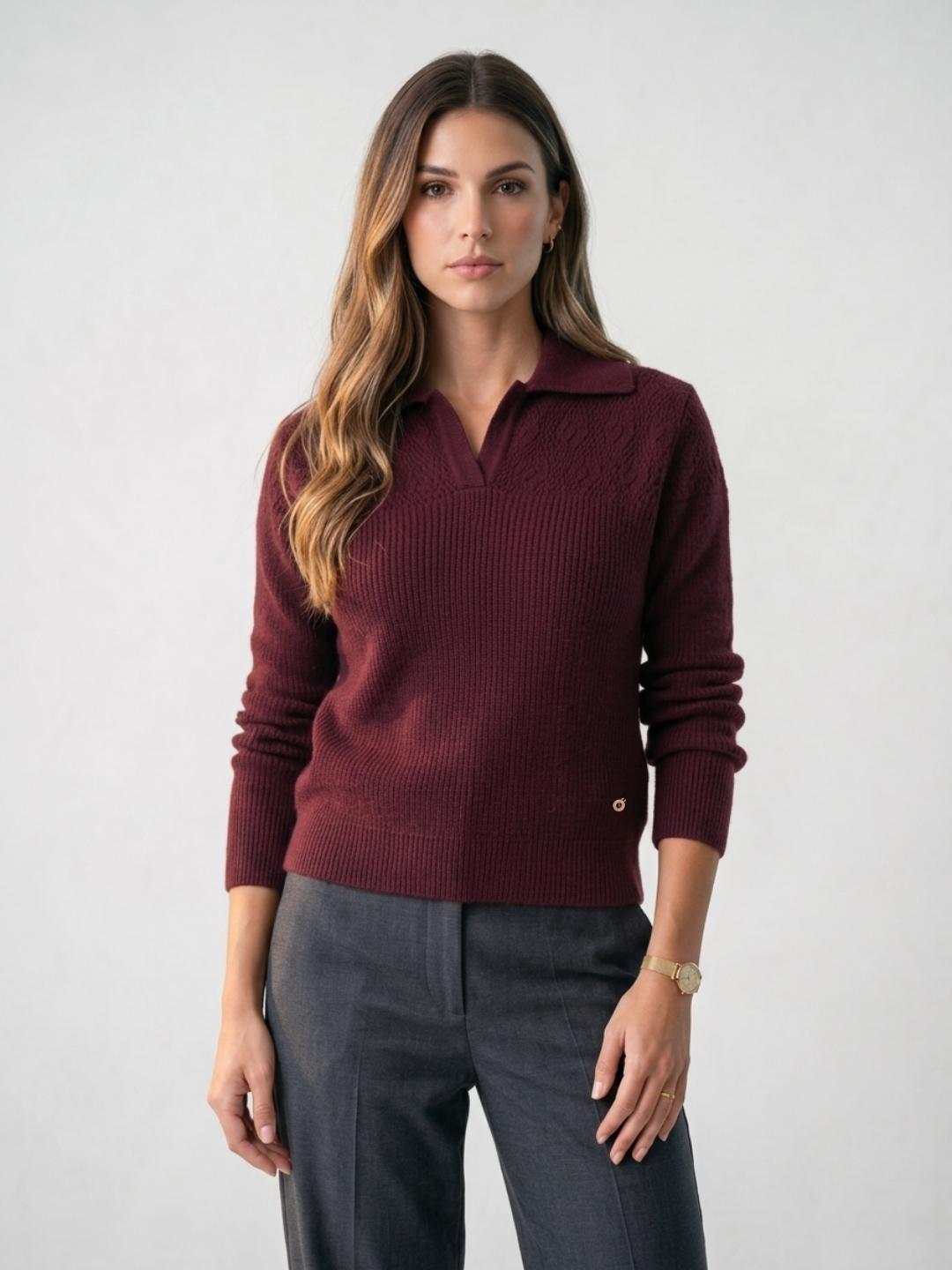 Iconic Women Wine Textured Regular Fit Sweater