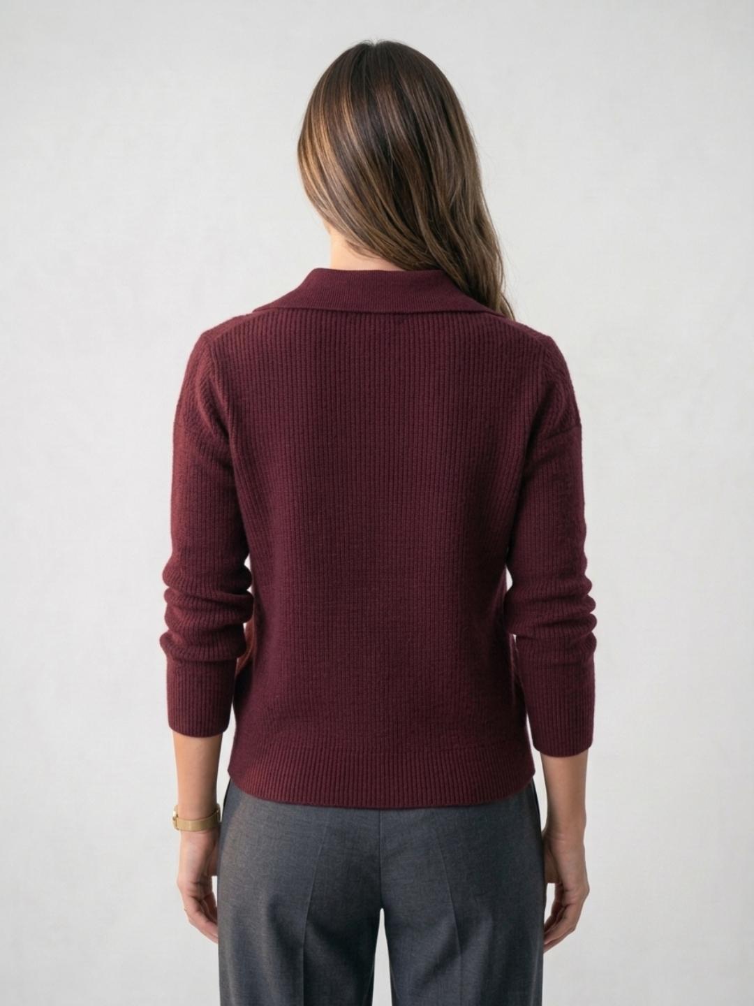 Iconic Women Wine Textured Regular Fit Sweater