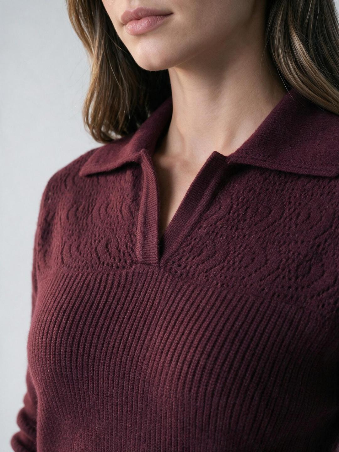 Iconic Women Wine Textured Regular Fit Sweater