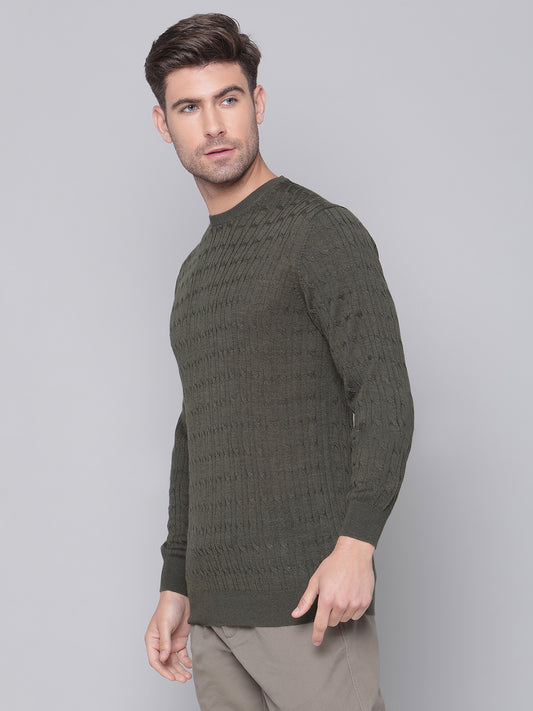 Bruun & Stengade Men Green Solid Round Neck Sweater