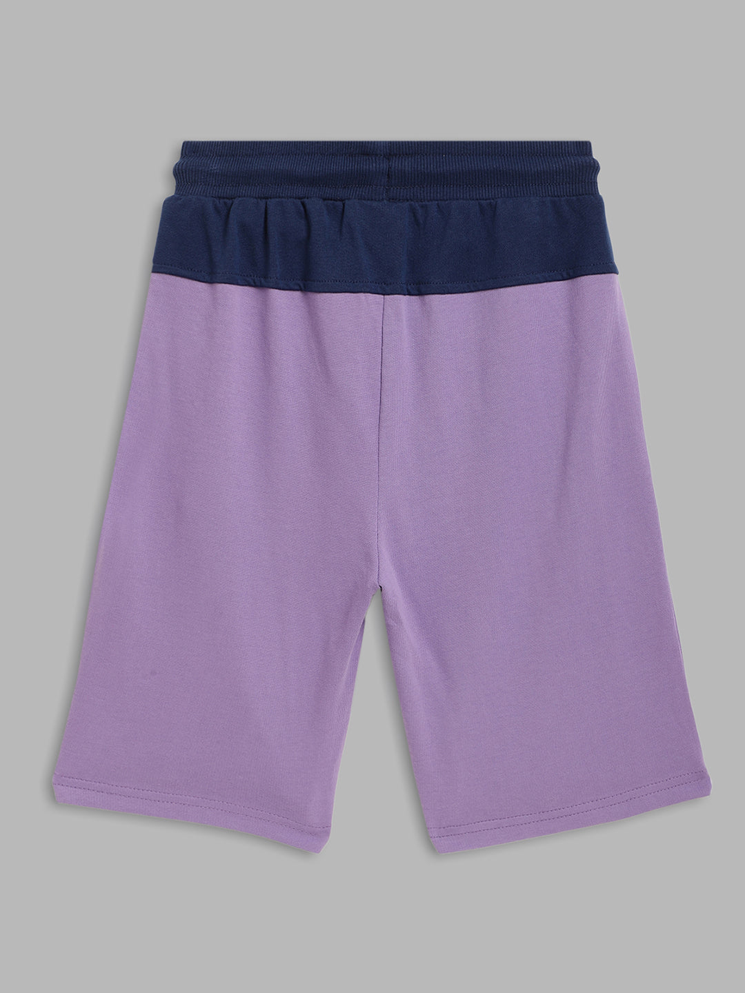 Blue Giraffe Boys Purple Printed Regular Fit Shorts