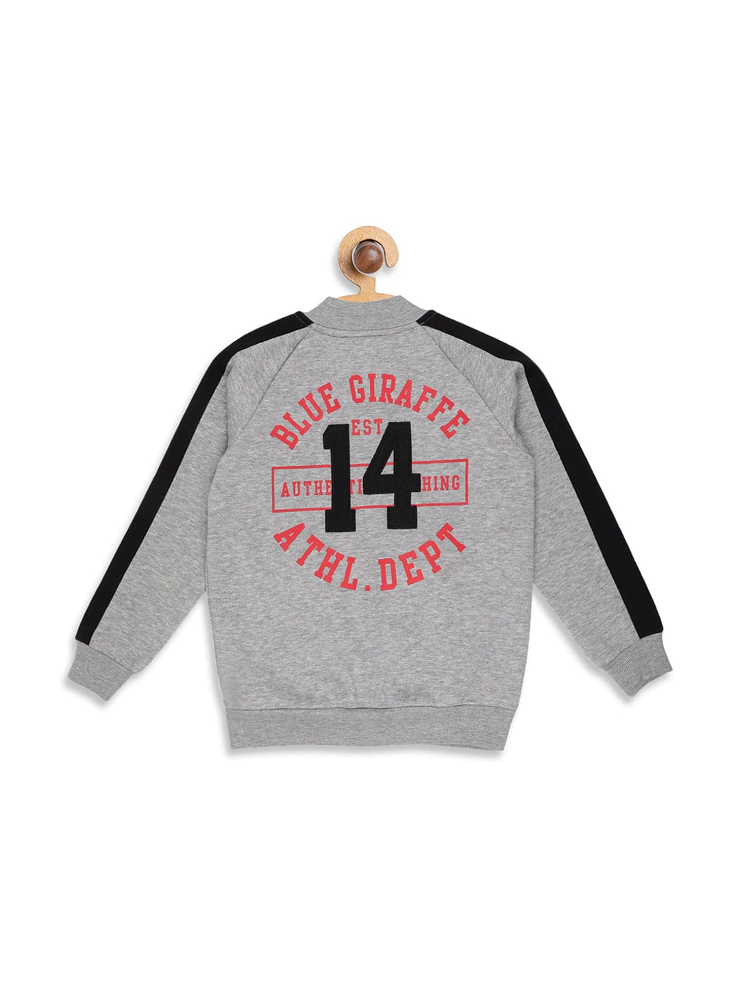 Blue Giraffe Boys Sweatshirt