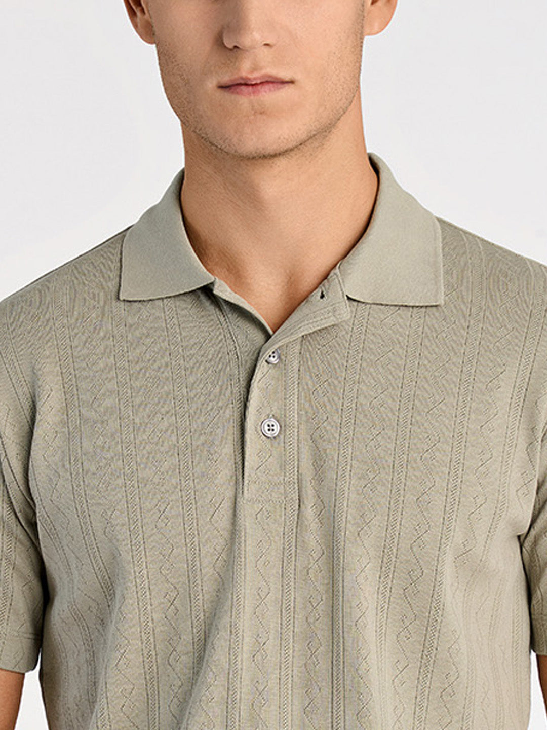 Lindbergh Men Green Relaxed Fit Jacquard Polo Tshirt