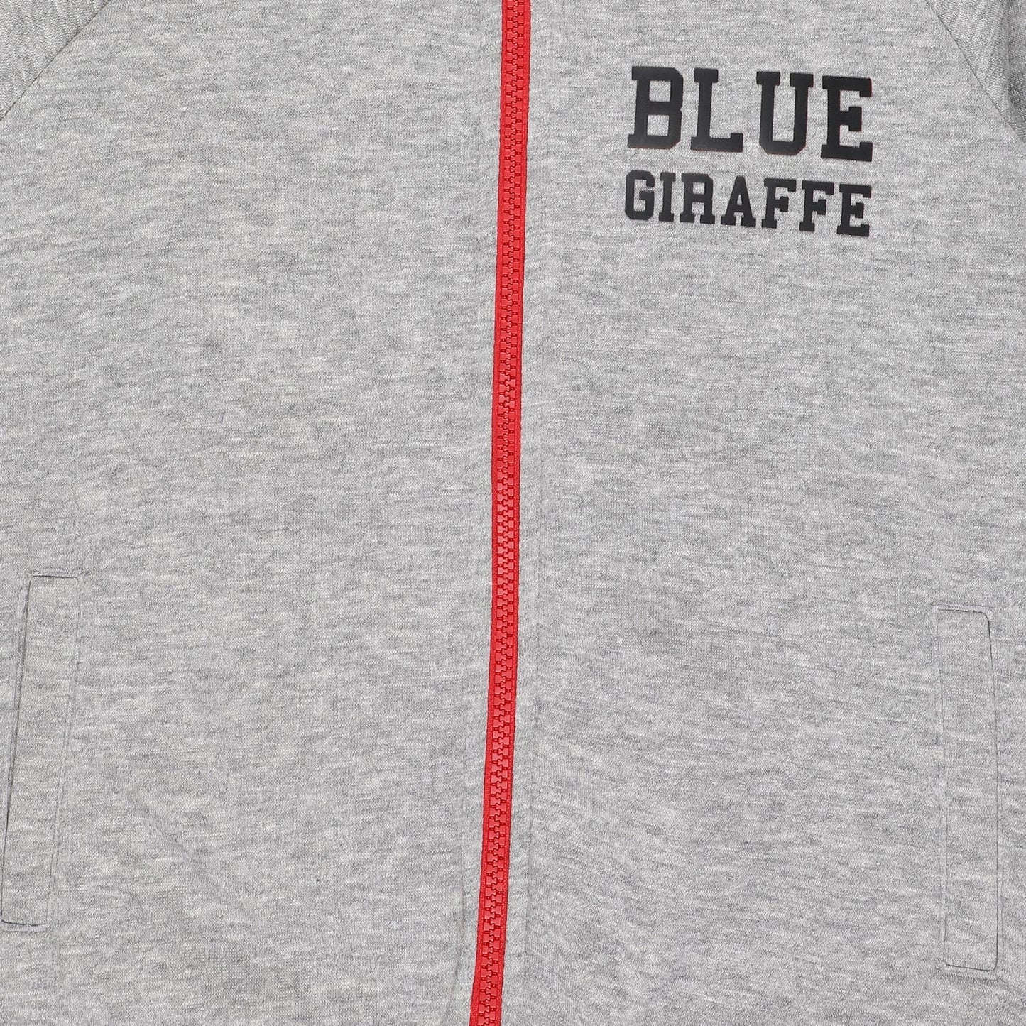 Blue Giraffe Boys Sweatshirt