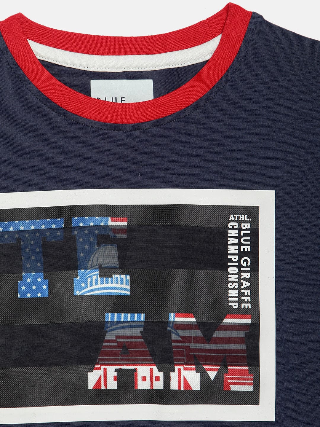 Blue Giraffe Boys Tshirt