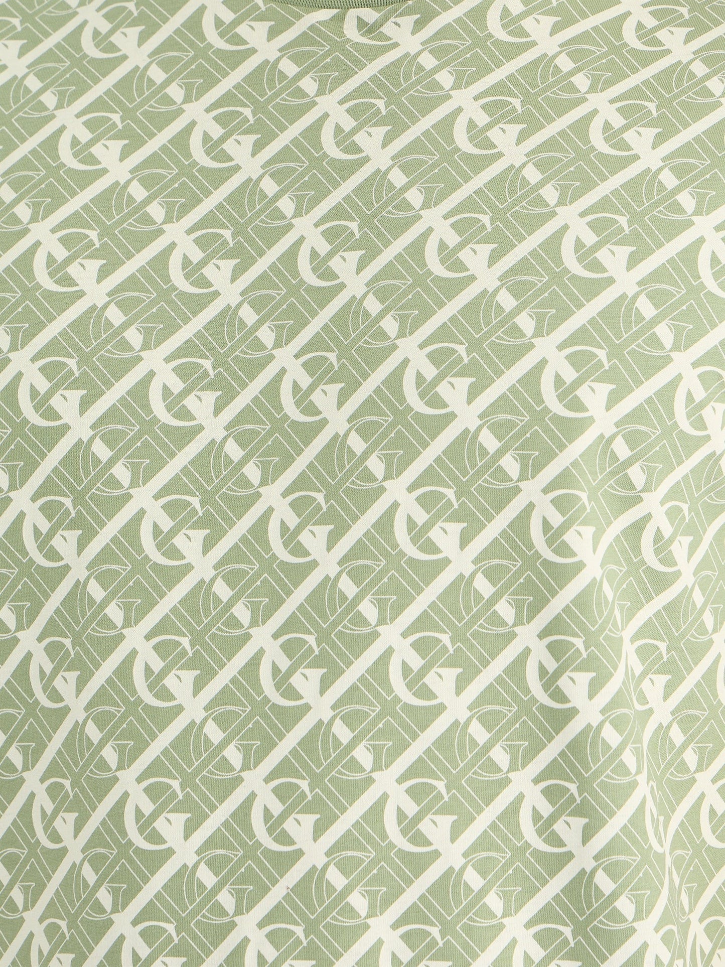 Gant Men Green Regular Fit Printed Crew Neck Tshirt