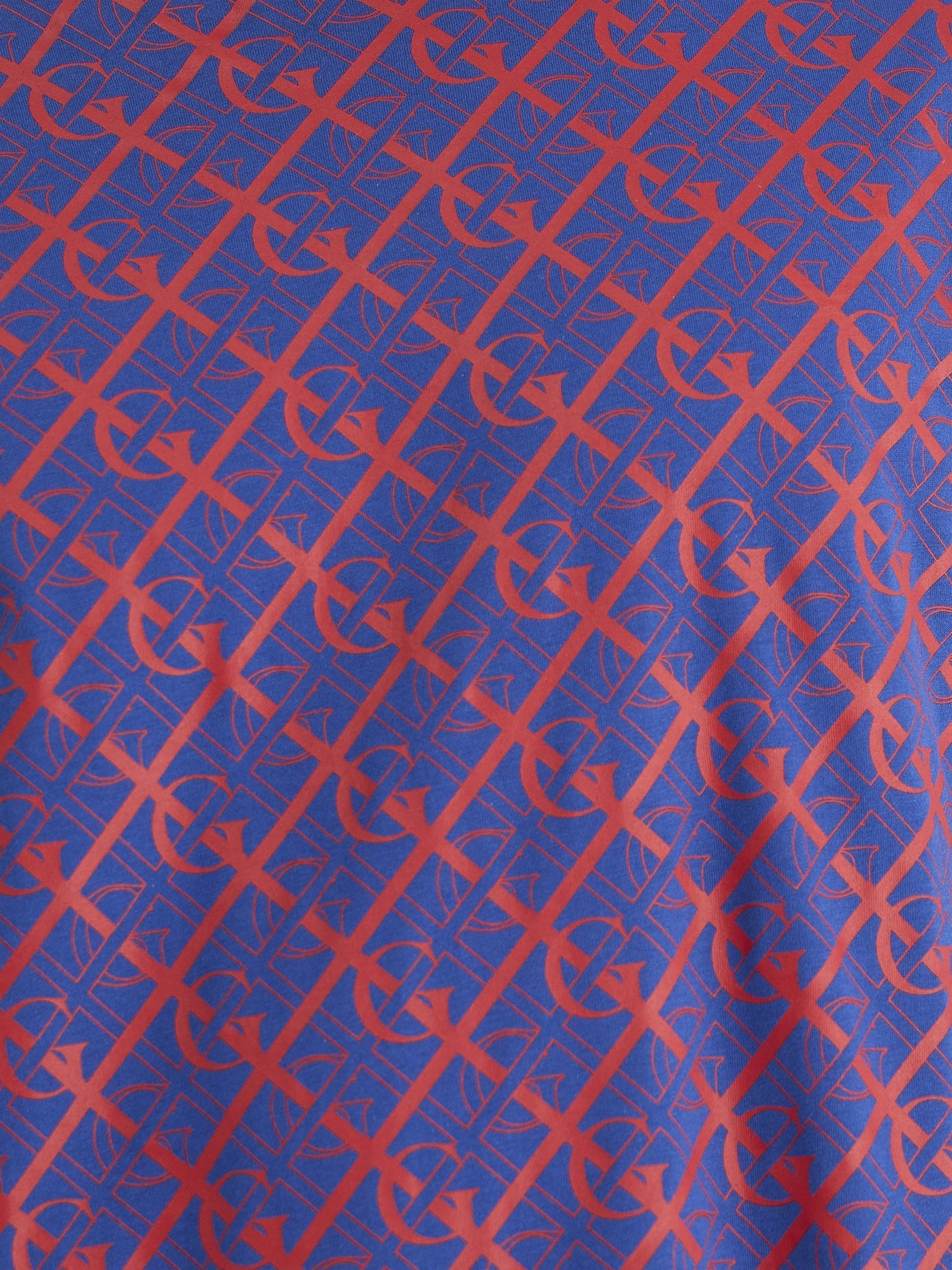 Gant Men Blue Regular Fit Printed Crew Neck Tshirt