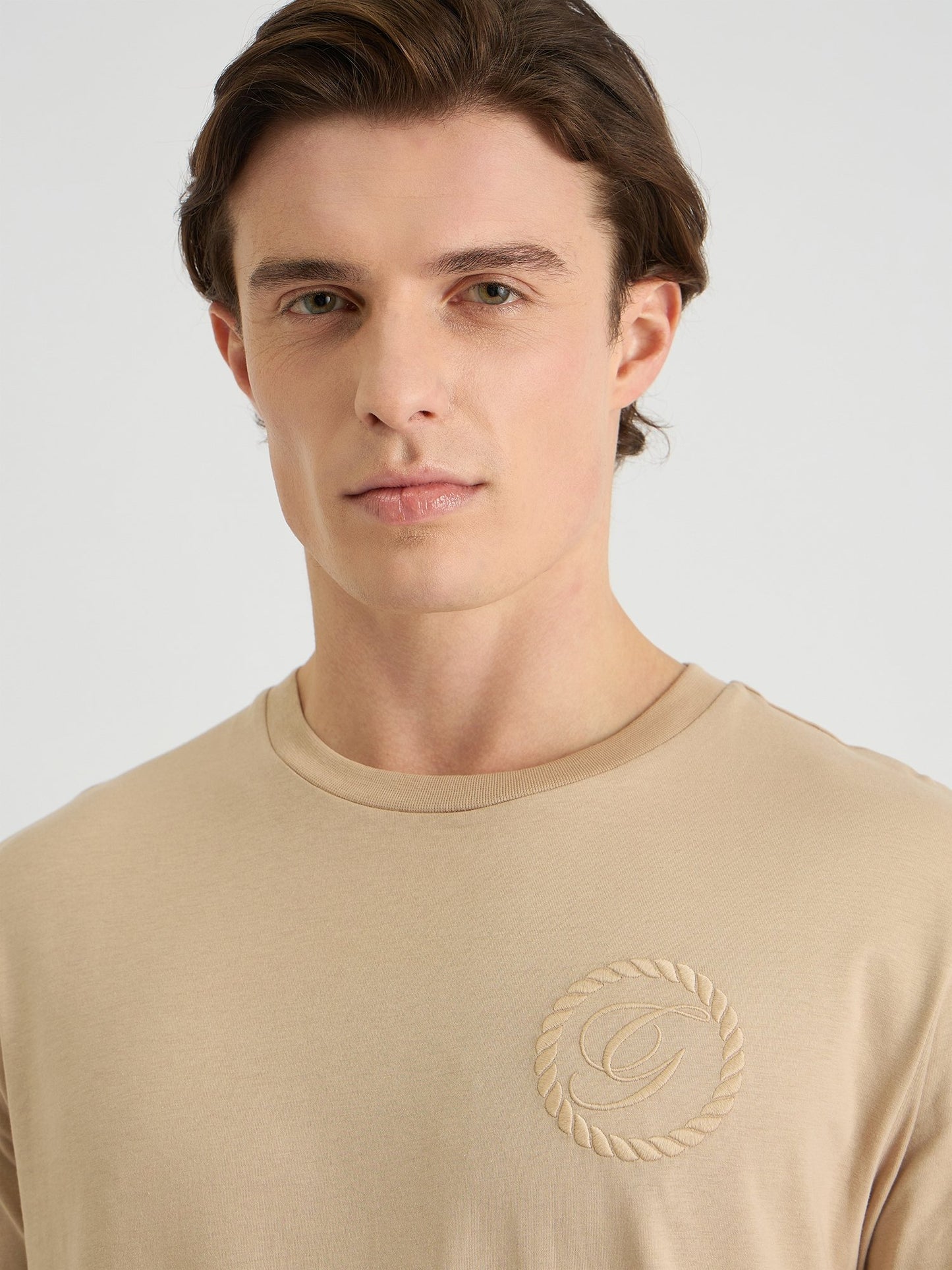 Gant Men Beige Regular Fit Solid Crew Neck Tshirt