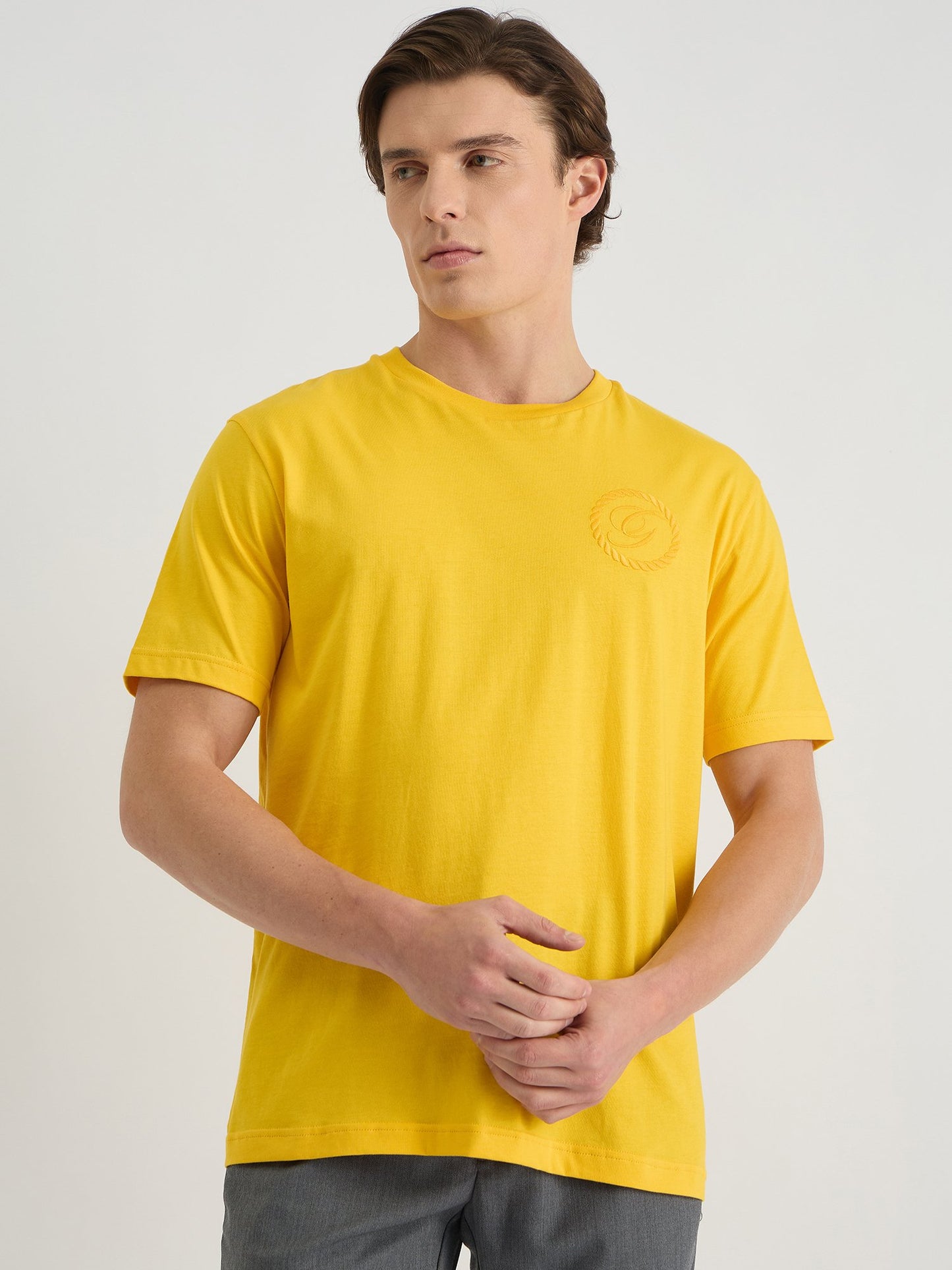 Gant Men Yellow Regular Fit Solid Crew Neck Tshirt
