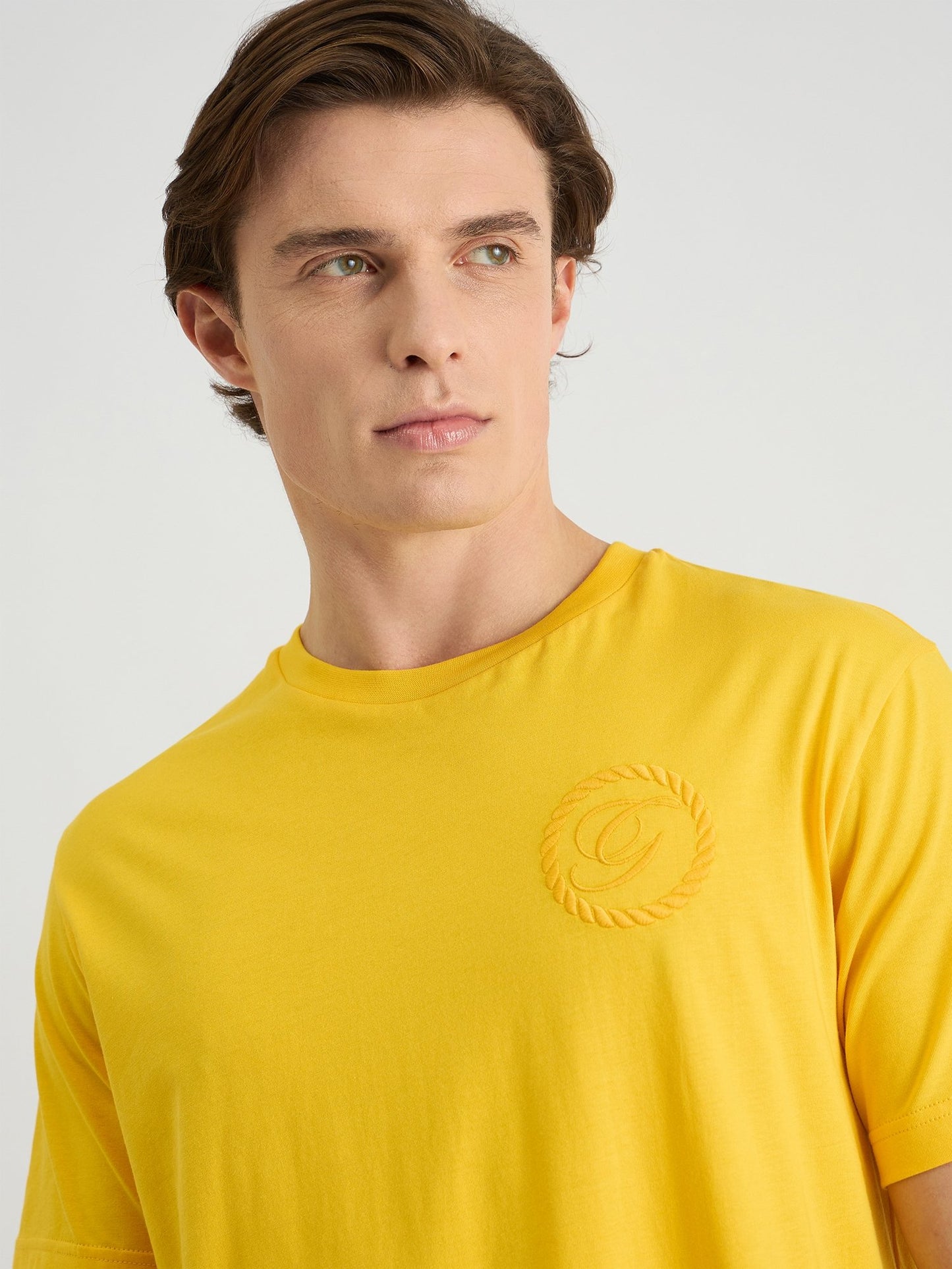 Gant Men Yellow Regular Fit Solid Crew Neck Tshirt