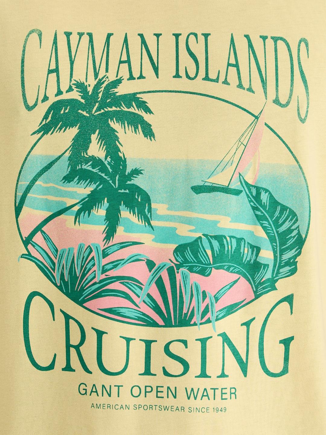 Gant Men Yellow Regular Fit Solid Crew Neck Tshirt