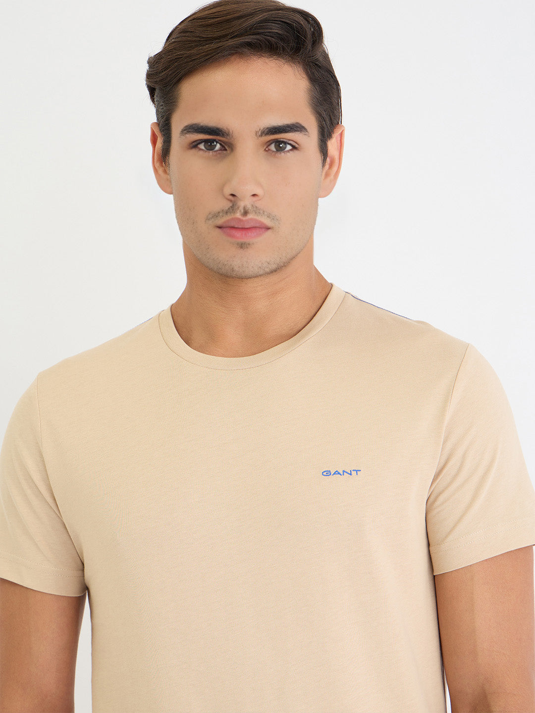 Gant Men Beige Solid Round Neck Tshirt