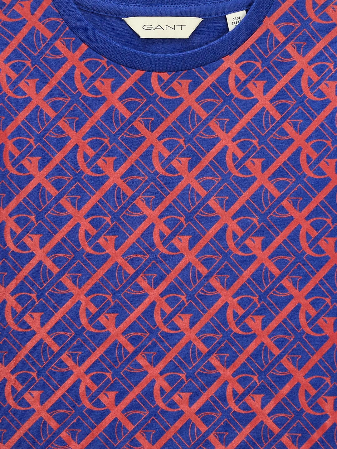 Gant Kids Blue Regular Fit Tshirt