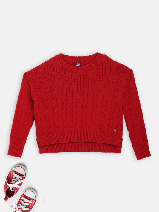 Blue Giraffe Girls Round Neck Sweater