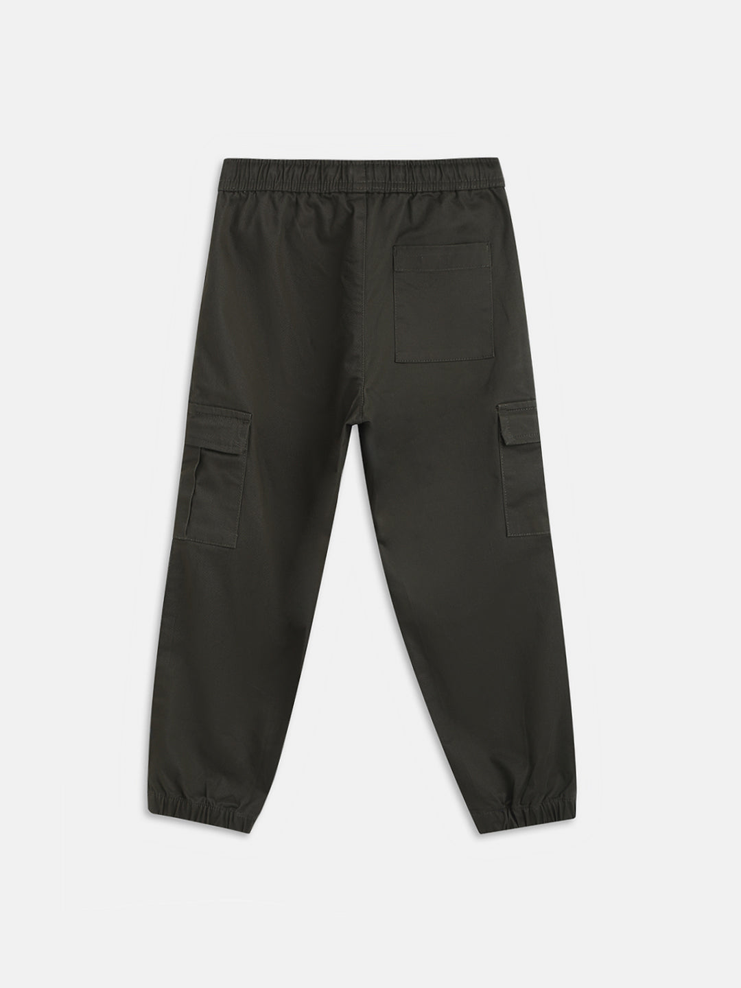 Blue Giraffe Boys Olive  Solid Regular Fit Trouser