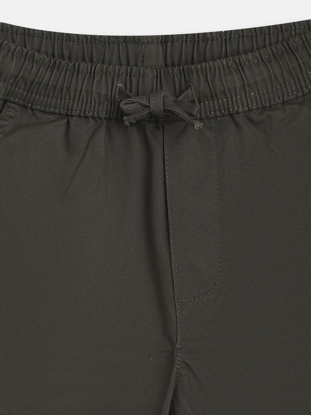 Blue Giraffe Boys Olive  Solid Regular Fit Trouser