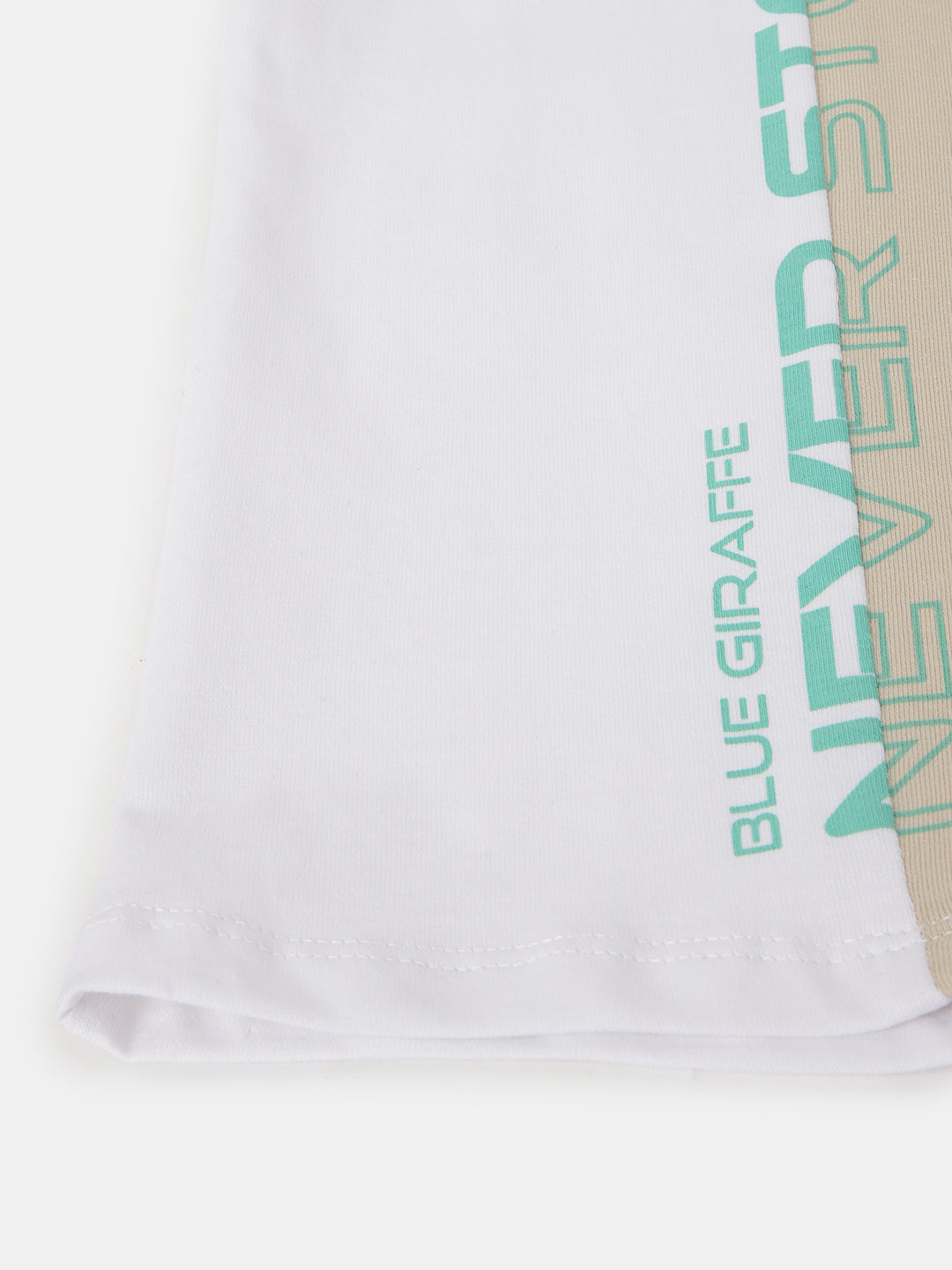 Blue Giraffe Boys Multi Colour Blocked Round Neck Short Sleeves T-Shirt